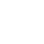 white plane icon