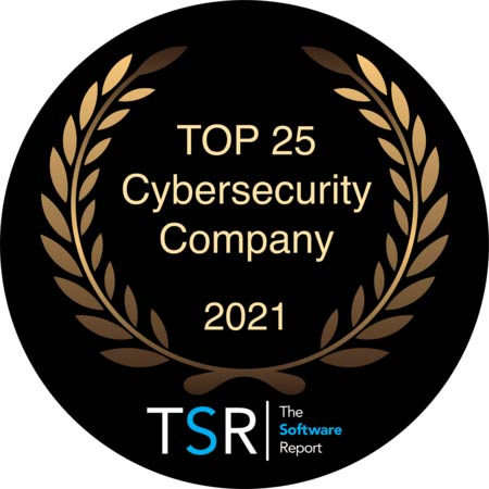 The Top 25 Cybersecurity Companies of 2021 Award